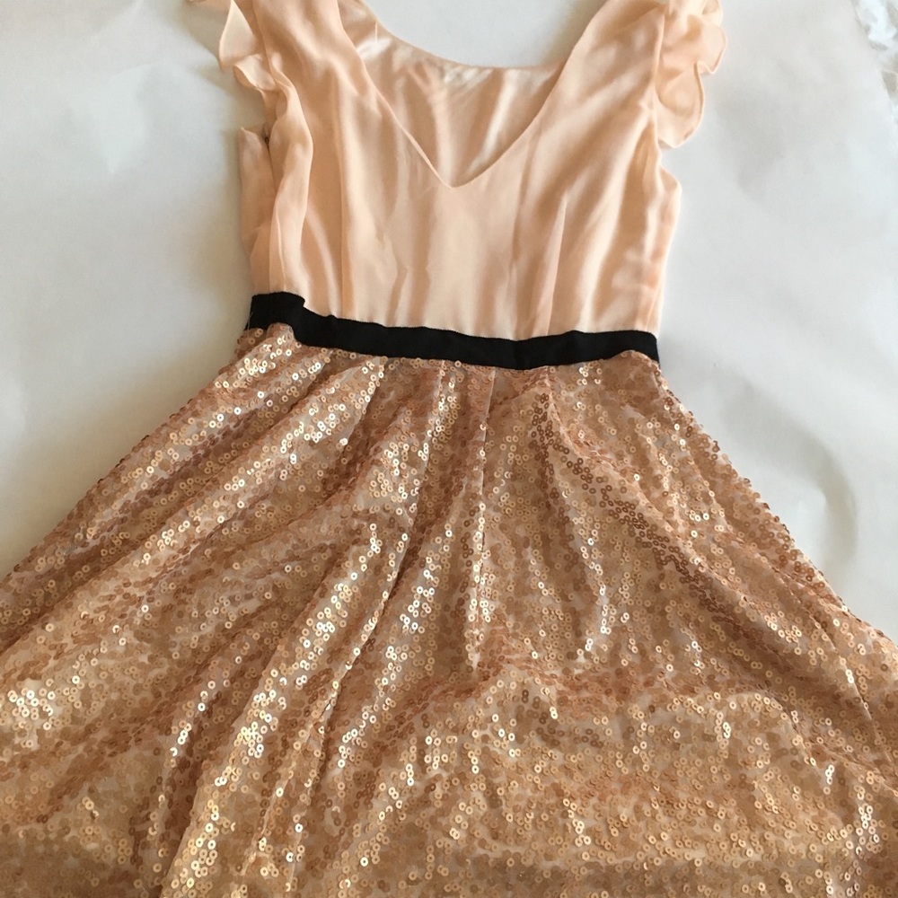 Forever 21 Sequin Ballerina Dress